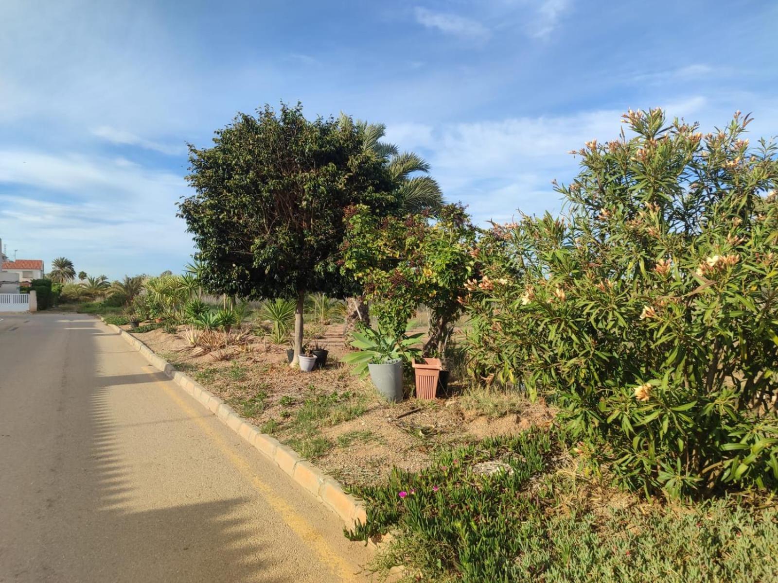 Paraiso En Mar De Cristal Mar Menor Καρταχένα Εξωτερικό φωτογραφία